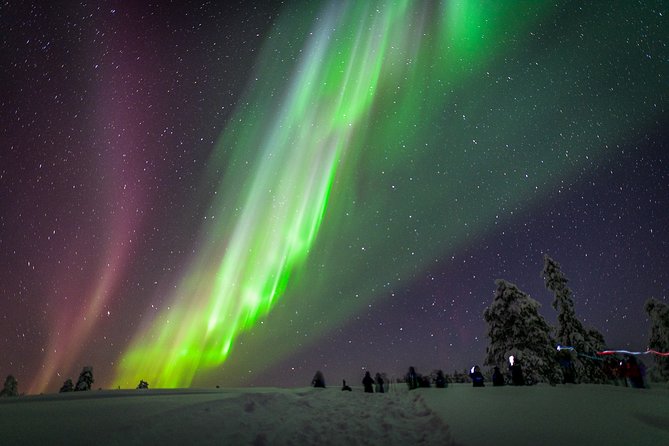 Private Aurora Tour by Lapland Welcome Aurora Experts for 1-4 persons - Quick take: what makes this aurora tour worth your night