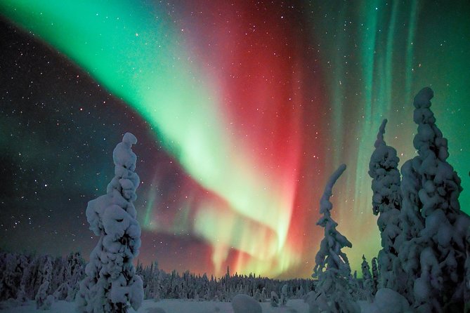 Private Aurora Tour by Lapland Welcome Aurora Experts for 1-4 persons - The waiting setup: tent, bonfire, and hot drinks while you scan the sky