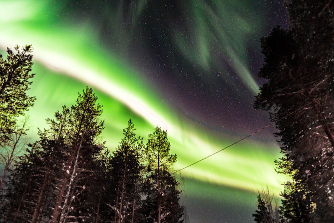 Private Aurora Tour by Lapland Welcome Aurora Experts for 1-4 persons - Guides behind the scenes: explanations, mythology, and photo coaching