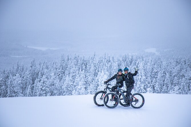 Private Electric Fat Bike Winter Tour in Rovaniemi - Key highlights you’ll care about