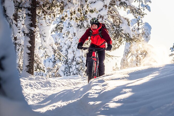 Private Electric Fat Bike Winter Tour in Rovaniemi - Lumberjack’s Candle Bridge stop: photos, balance checks, and a landmark moment