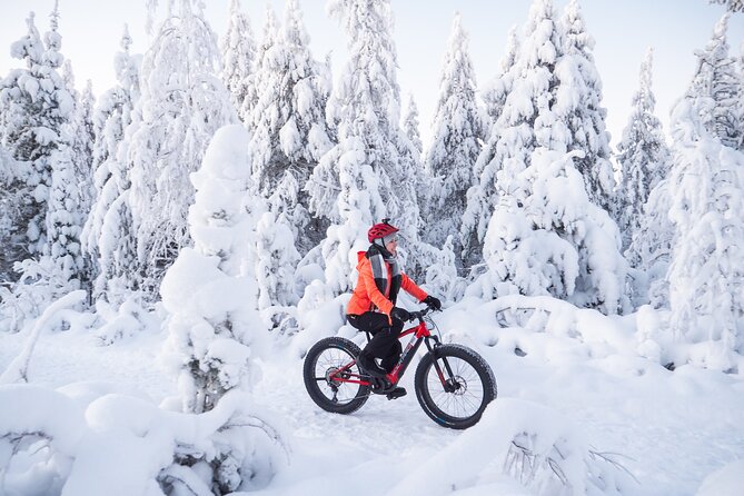 Private Electric Fat Bike Winter Tour in Rovaniemi - Equipment and safety: what they provide (and why it helps)