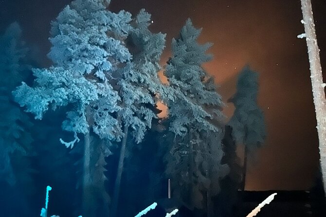 PRIVATE Glass Igloo Dinner Under Northern Lights - Should you book it: my honest take