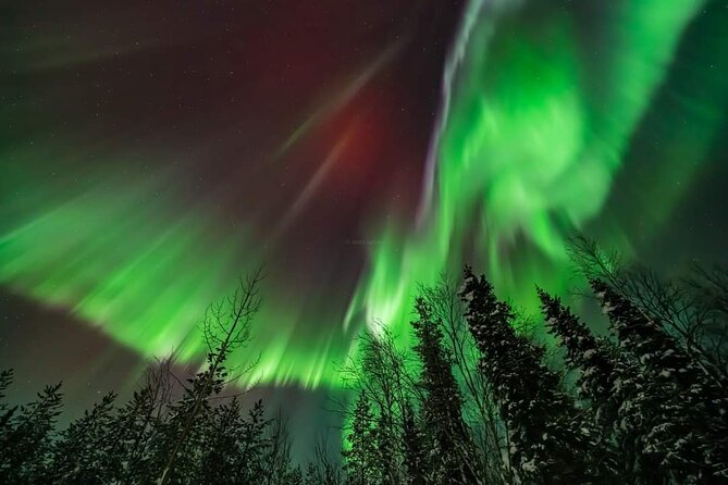 Private Northern Lights Hunting Tour Rovaniemi - Cold-Weather Reality Check: No Cabin, No Washroom, Dress Smart