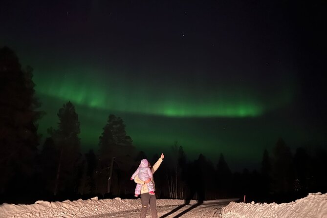 Private Northern Lights Hunting Tour Rovaniemi - Who This Northern Lights Hunt Is Best For