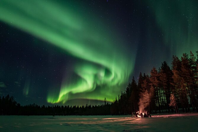 Private Northern Lights Photography Hunting - Meeting in Rovaniemi: Jaakonkatu and Pickup That Keeps the Night Easy