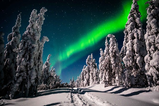 Private Northern Lights photography tour in Rovaniemi - What Happens at Each Stop: Camera Prep and On-Foot Spotting