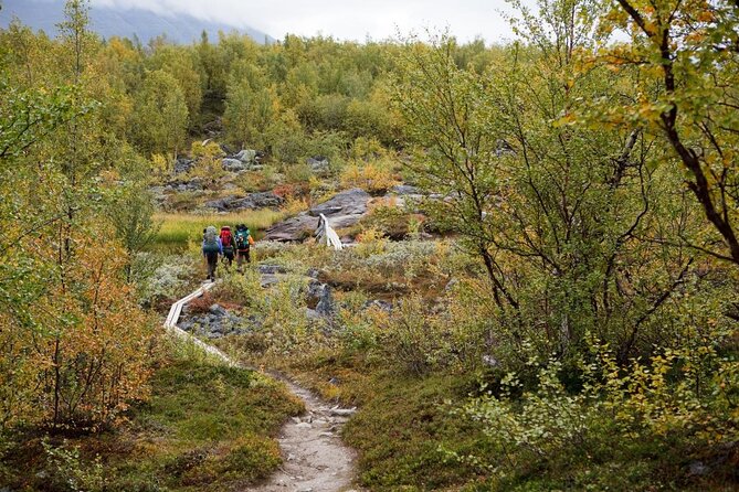 Private Northern Lights Tour With Skis Or Snowshoes in Pyhä - Key highlights at a glance