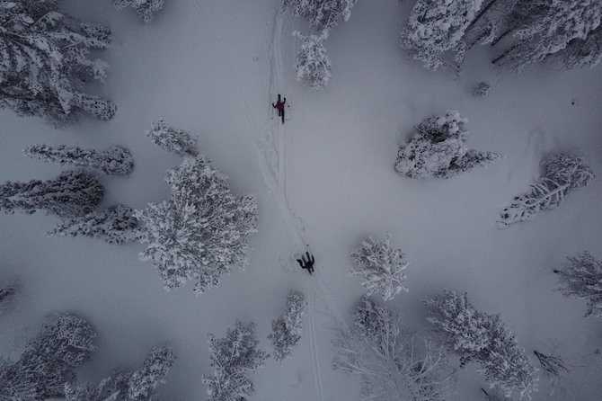 Private Northern Lights Tour With Skis Or Snowshoes in Pyhä - A private, after-dark outing that doesn’t feel touristy