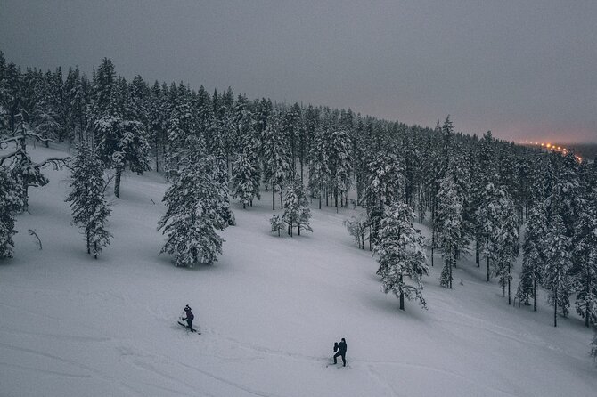 Private Northern Lights Tour With Skis Or Snowshoes in Pyhä - Timing, meeting point, and why the 8:00 pm start matters