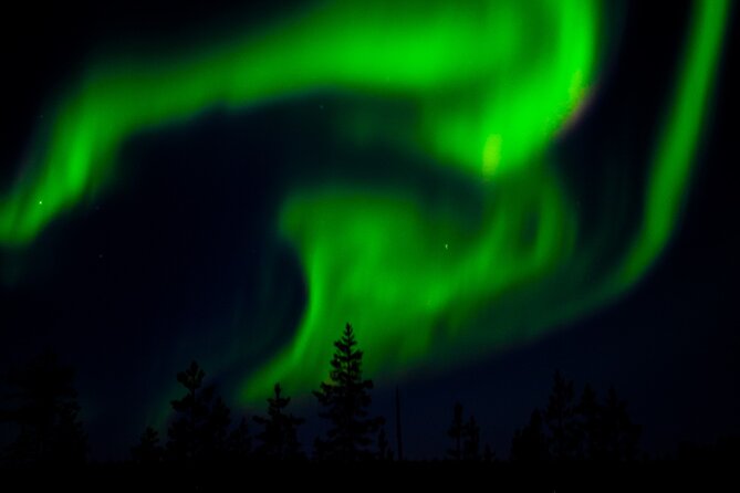 Private Northern Lights Tour With Skis Or Snowshoes in Pyhä - Price and value: $169.24 per person, what you’re actually paying for