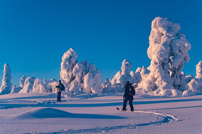 Private Snowshoe or Ski Adventure in Lapland from Rovaniemi - Choosing Your Winter Route Around Rovaniemi