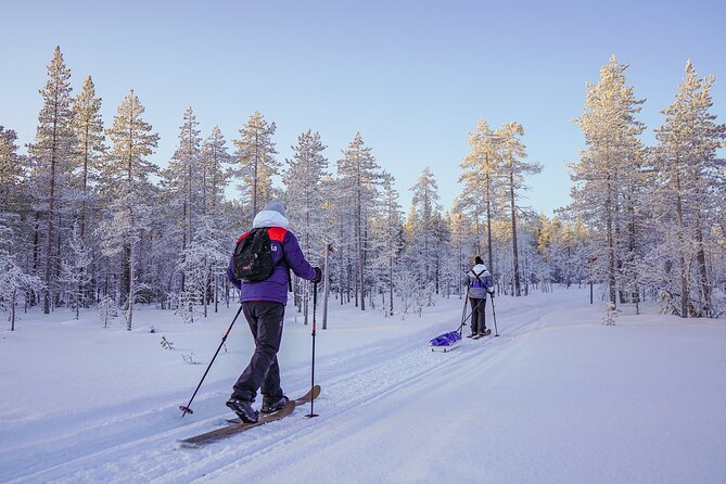 Private Snowshoe or Ski Adventure in Lapland from Rovaniemi - The Guide’s Role: Tracks, Northern Lights Talk, and Real Pacing