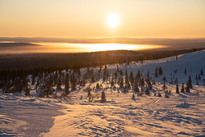 Private Snowshoe or Ski Adventure in Lapland from Rovaniemi - Who This Fits Best (And Who Might Want to Rethink It)