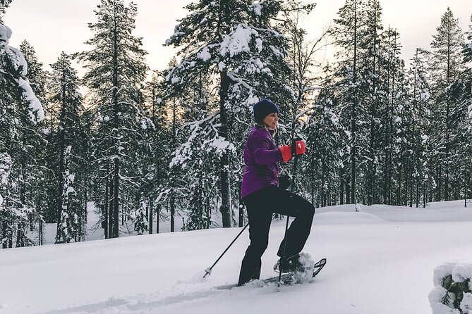 Private Snowshoeing Tour In Pyhätunturi With A Local Guide - Getting ready at Luontotie 1: boots, equipment, and pacing