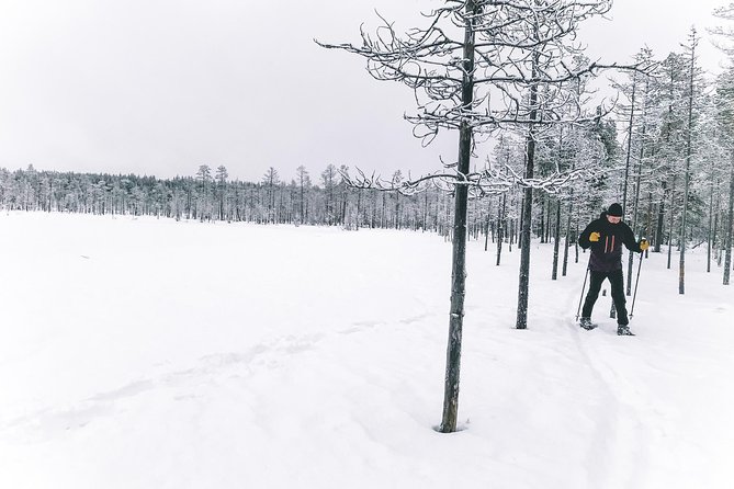 Private Snowshoeing Tour In Pyhätunturi With A Local Guide - Price and value: what $126.98 per person really covers