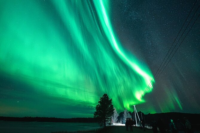 Pyhä-Luosto Northern Lights Adventure with Aurora Viewing - Winter Clothing Included on Request: Don’t Assume