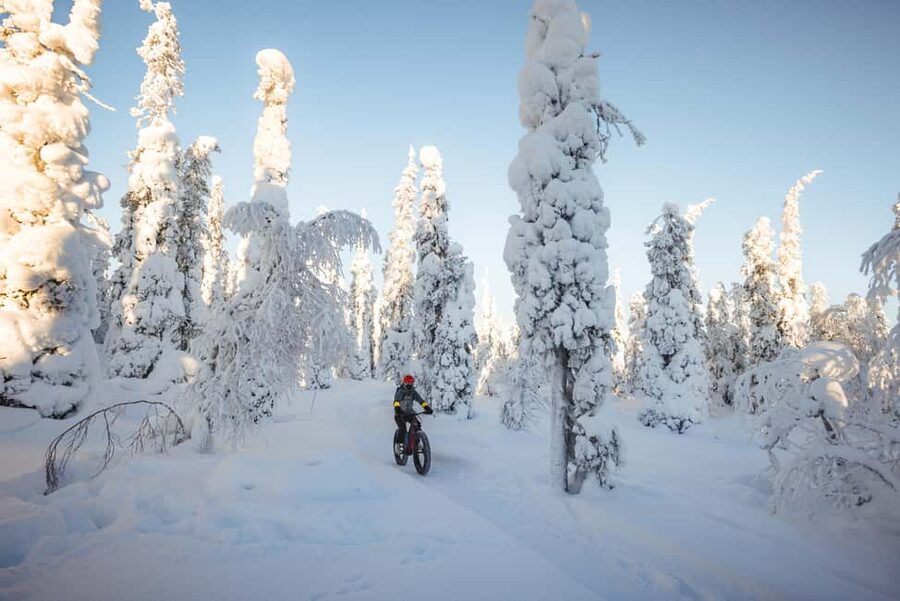 Pyhätunturi: Electric Fatbike Tour in Finnish Lapland - Choosing Your Assist Level Without Losing the Pedal Power