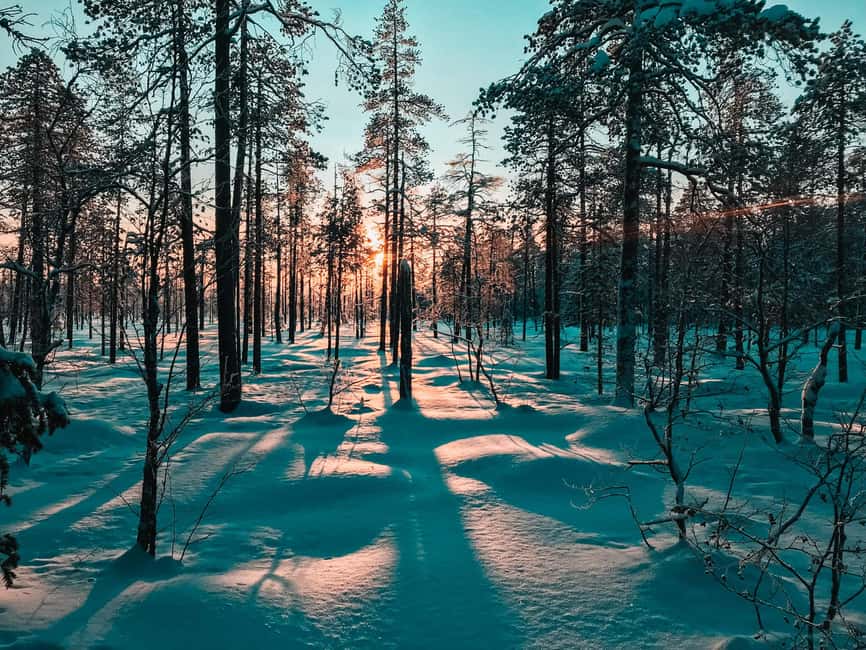 Pyhätunturi: Private Snowshoeing Tour With Local Guide - Timing and the real “schedule” of the day