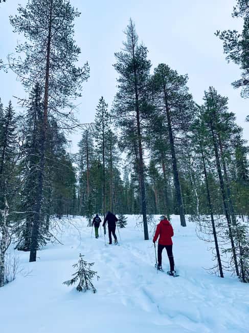 Pyhätunturi: Private Snowshoeing Tour With Local Guide - FAQ