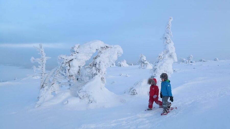 Pyhätunturi: Scenic Snowshoeing Tour in Finnish Lapland - Guided Time in Pyhä-Luosto National Park: Snowshoes, Stories, and Stopping Points