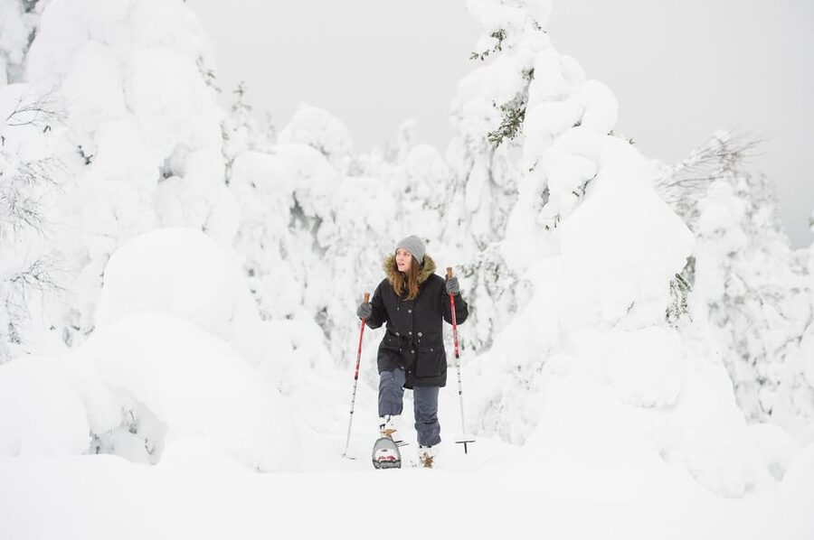 Pyhätunturi: Scenic Snowshoeing Tour in Finnish Lapland - Price and Value: What $133 Buys You in Real Terms