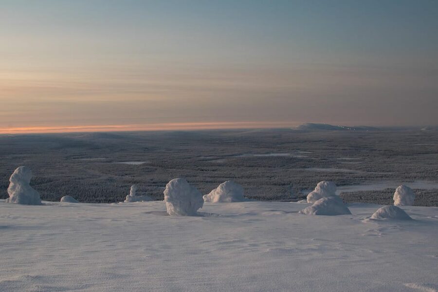 Pyhätunturi: Scenic Snowshoeing Tour in Finnish Lapland - Who Should Book This Snowshoeing Tour (and Who Might Want to Skip It)