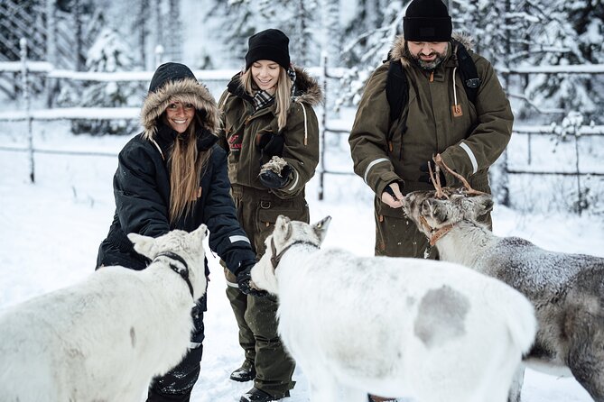 Ranua Lupland Activity Park Entry with Reindeer Experience - Key highlights to know before you go