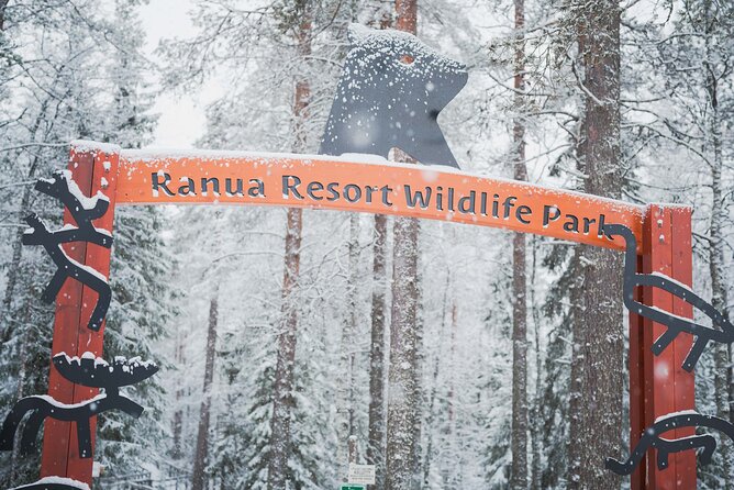 Ranua Wildlife Park Day: Visit the Arctic Animals - Animal spotting reality check: polar bears, indoor areas, and patience