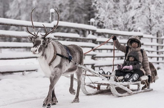 REINDEER FARM VISIT a real authentic experience - Price and value: what $120 buys you in real experience time