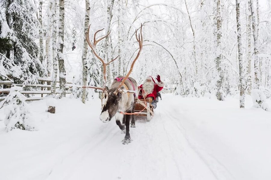 Reindeer Farm Visit with Sleigh Ride - The Sleigh Ride: Short, Classic, and Often the Fastest Part