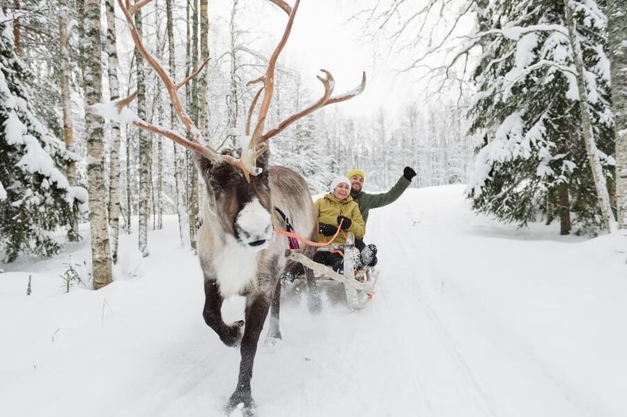 Reindeer Farm Visit with Sleigh Ride - Small Comfort Issues to Plan For in Winter