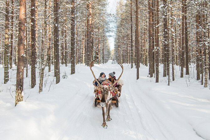 Reindeer Safari in Arctic Wilderness - Why this reindeer safari feels genuinely “Arctic”