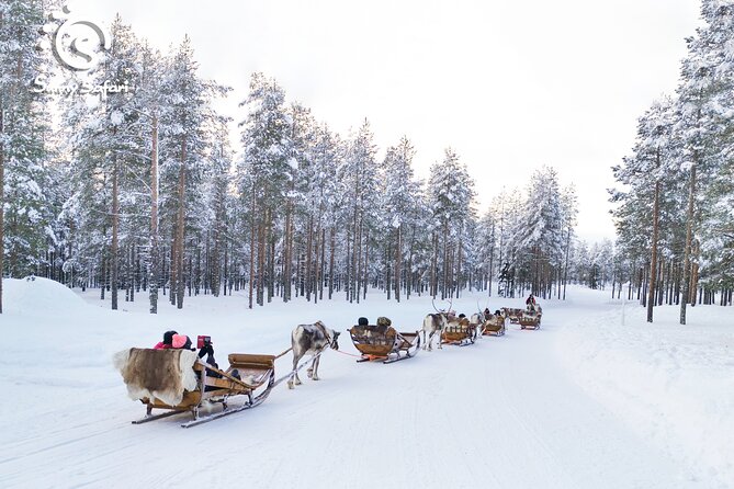 Reindeer Safari in Arctic Wilderness - Warm-up time at the farmhouse: snacks, hot drinks, and real answers