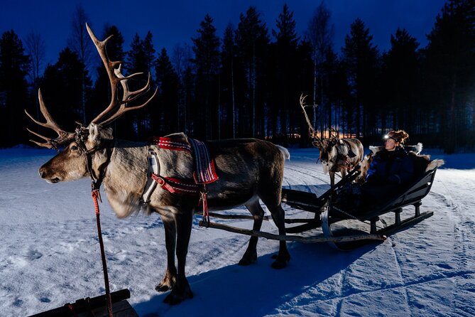 Reindeer Sleigh Ride Across the Night in Apukka Resort Rovaniemi - From Apukka Resort to the Reindeer Trail (and Back)