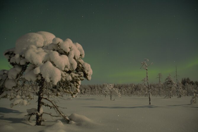 Reindeer Sleigh Ride Across the Night in Apukka Resort Rovaniemi - Price and Value for a 3-Hour Arctic Evening in a Small Group