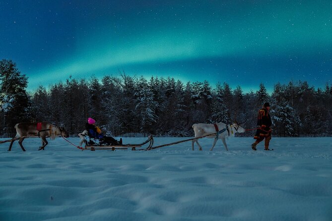 Reindeer Sleigh Ride Across the Night in Apukka Resort Rovaniemi - Should You Book Apukka’s Reindeer Sleigh Ride at Night?