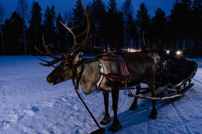 Reindeer Sleigh Ride Across the Night in Apukka Resort Rovaniemi - FAQ