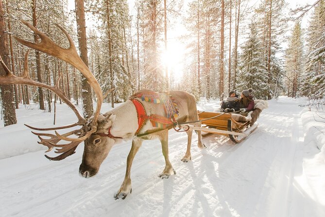 Reindeer Sleigh Ride and Farm Experience from Rovaniemi - Snacks and the Warm-Drink Break: The Small Stuff That Matters