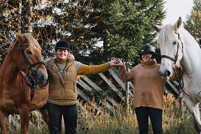 Riding Tour with Finnhorses at Santa Claus Village - Safety briefing first: how you get set on the saddle
