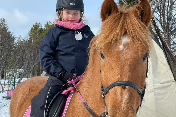 Riding Tour with Finnhorses at Santa Claus Village - Campfire cookies and Finnhorse stories: the warm finish