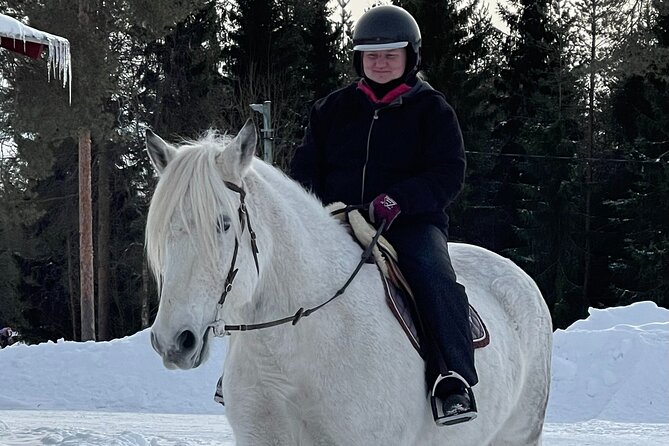 Riding Tour with Finnhorses at Santa Claus Village - Who this ride suits best (and who may want to skip it)