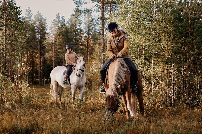 Riding Tour with Finnhorses at Santa Claus Village - Should you book this ride near Santa Claus Village?