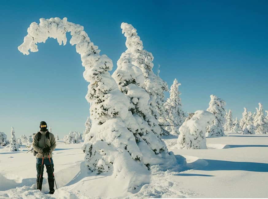 Riisitunturi & Frozen Waterfall Full Day Tour with Photos - Riisitunturi National Park hike: snow forests, hilltops, and photo time