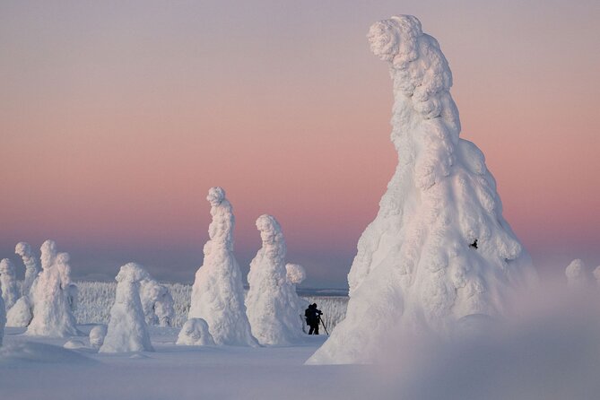 Riisitunturi Snow Monsters Winter Hike from Rovaniemi with Lunch - Key highlights you’ll actually feel