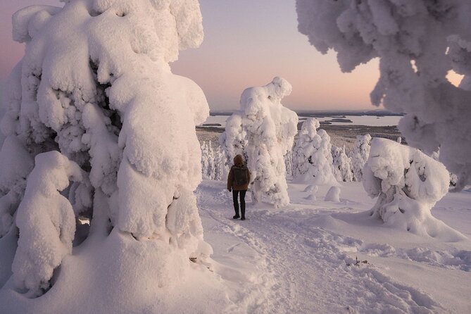 Riisitunturi Snow Monsters Winter Hike from Rovaniemi with Lunch - Riisitunturi Snow Monsters: what you’re really signing up for