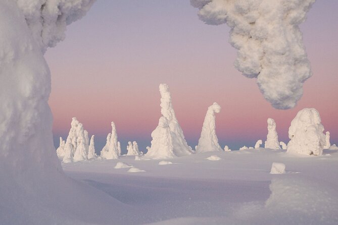 Riisitunturi Snow Monsters Winter Hike from Rovaniemi with Lunch - Pickup, timing, and how the day flows from 8:00am