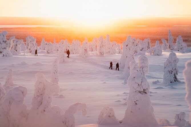 Riisitunturi Snow Monsters Winter Hike from Rovaniemi with Lunch - Riisitunturi National Park: the Snow Monsters walk in practice