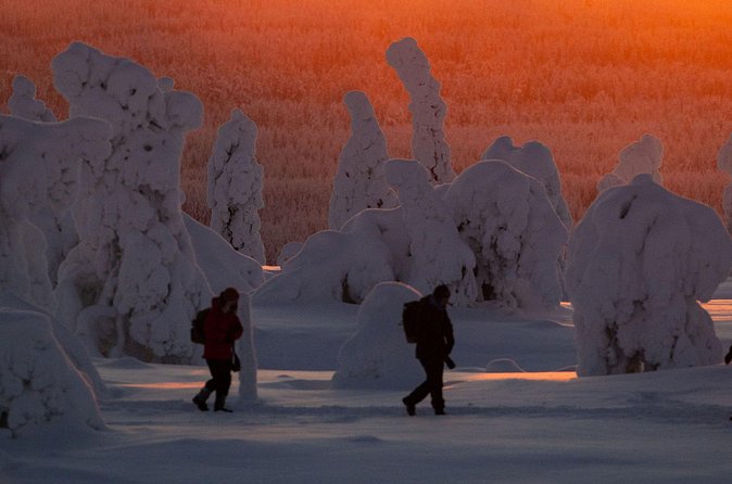 Riisitunturi Snow Monsters Winter Hike from Rovaniemi with Lunch - Pacing, photos, and why small groups matter in winter