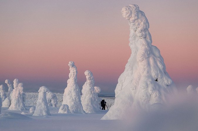 Riisitunturi Snow Monsters Winter Hike from Rovaniemi with Lunch - Weather reality check: what can happen and how to plan